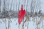 雪中的红丝巾