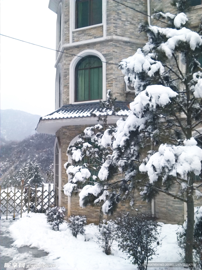 雪景