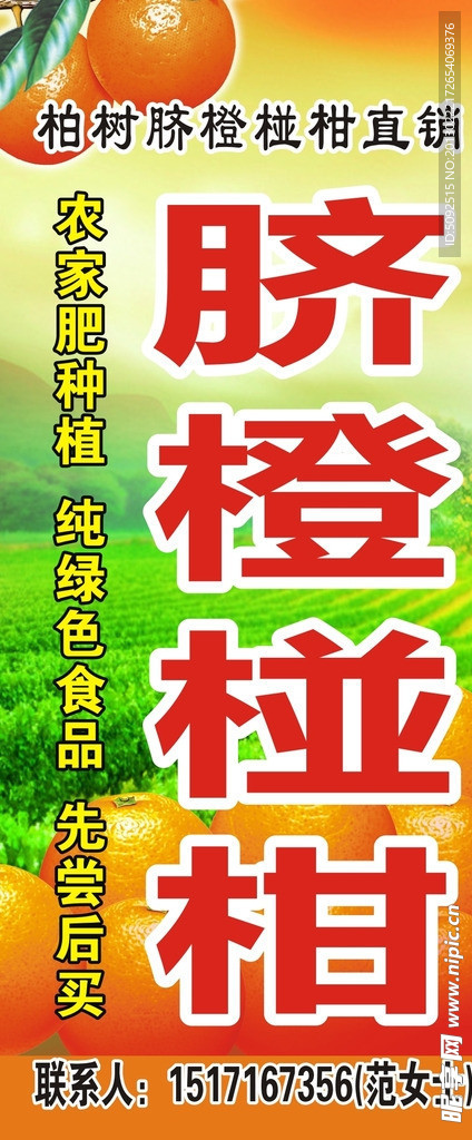 臍橙椪柑
