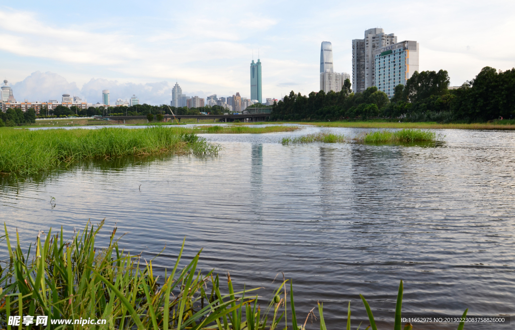 深圳洪湖公園