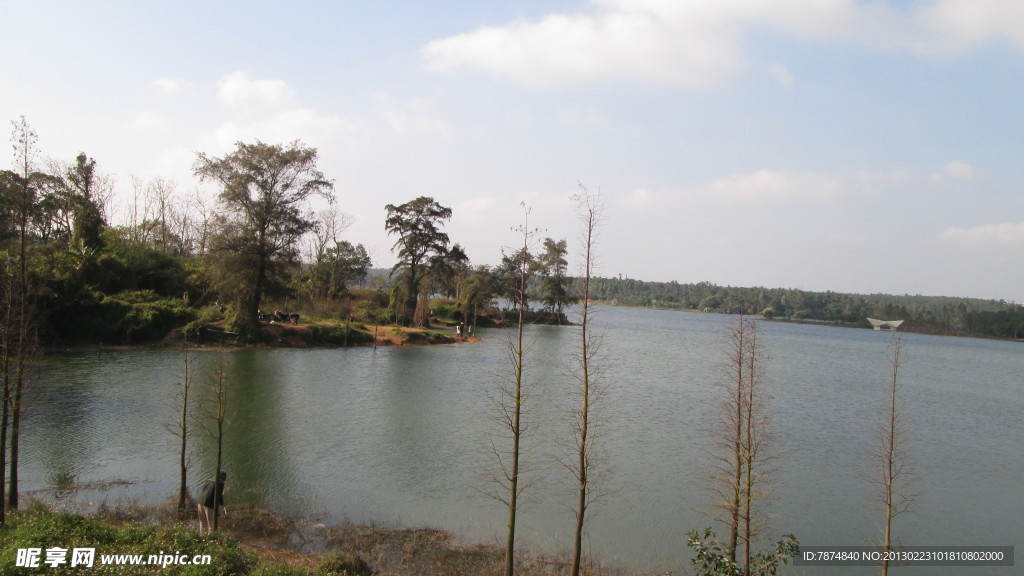 湛江森林公園攝影