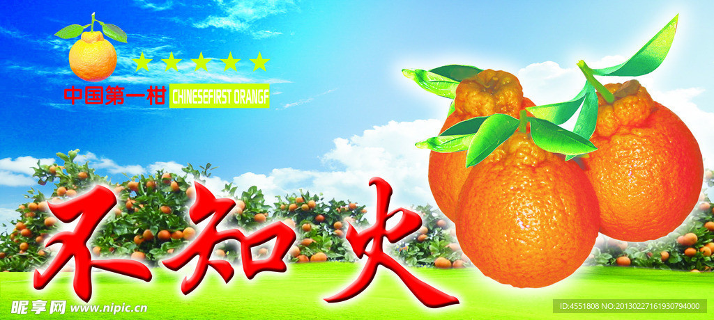 不知火柑桔