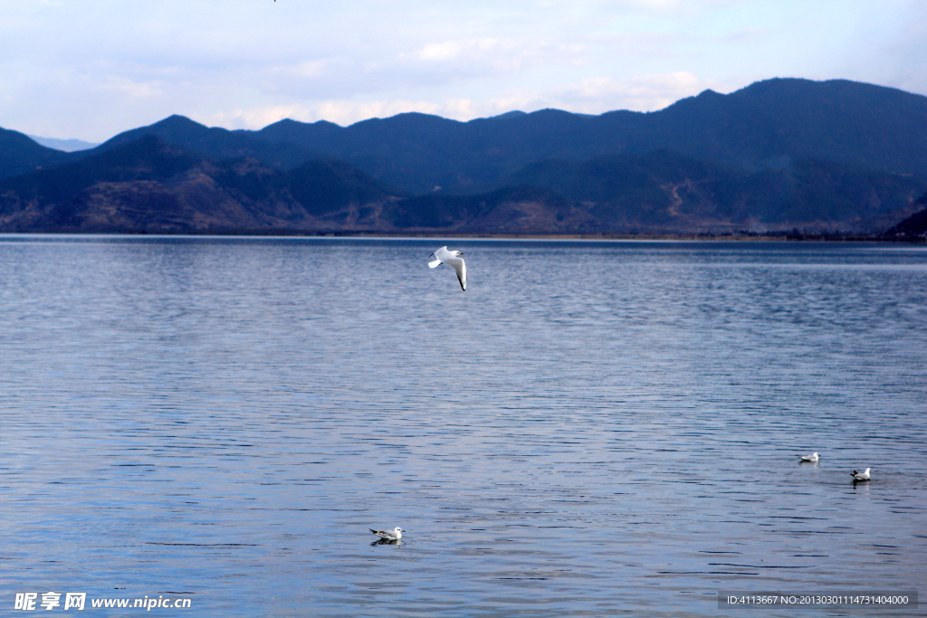 瀘沽湖風景
