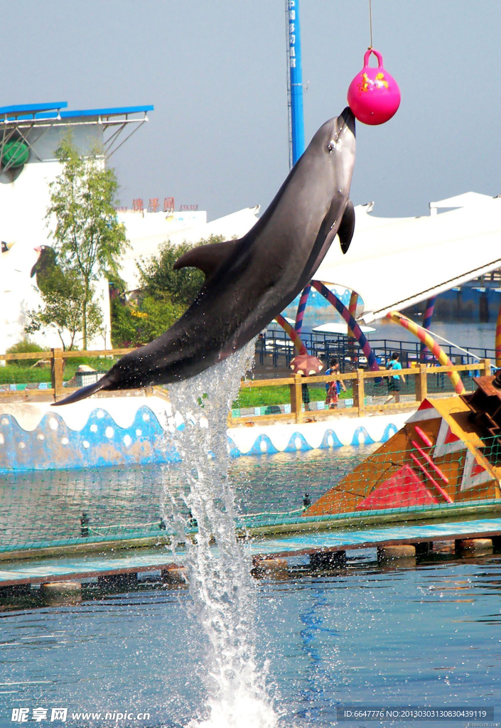 海洋公園