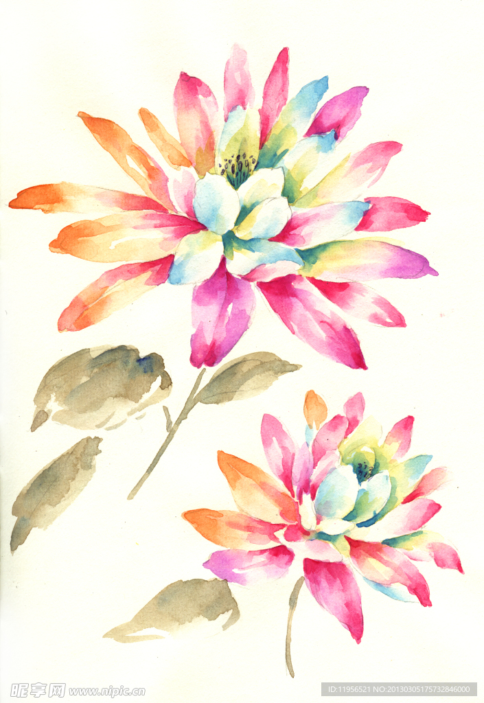 手繪花卉