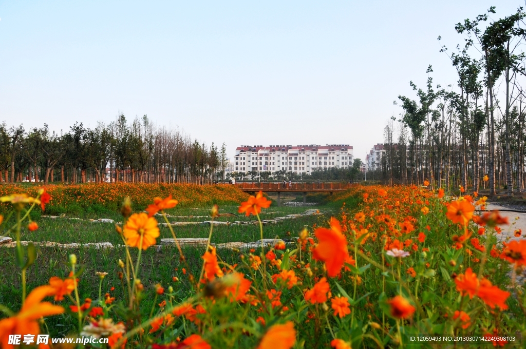 城市花園
