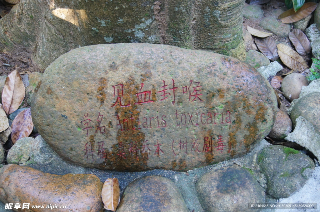 興隆熱帶植物園