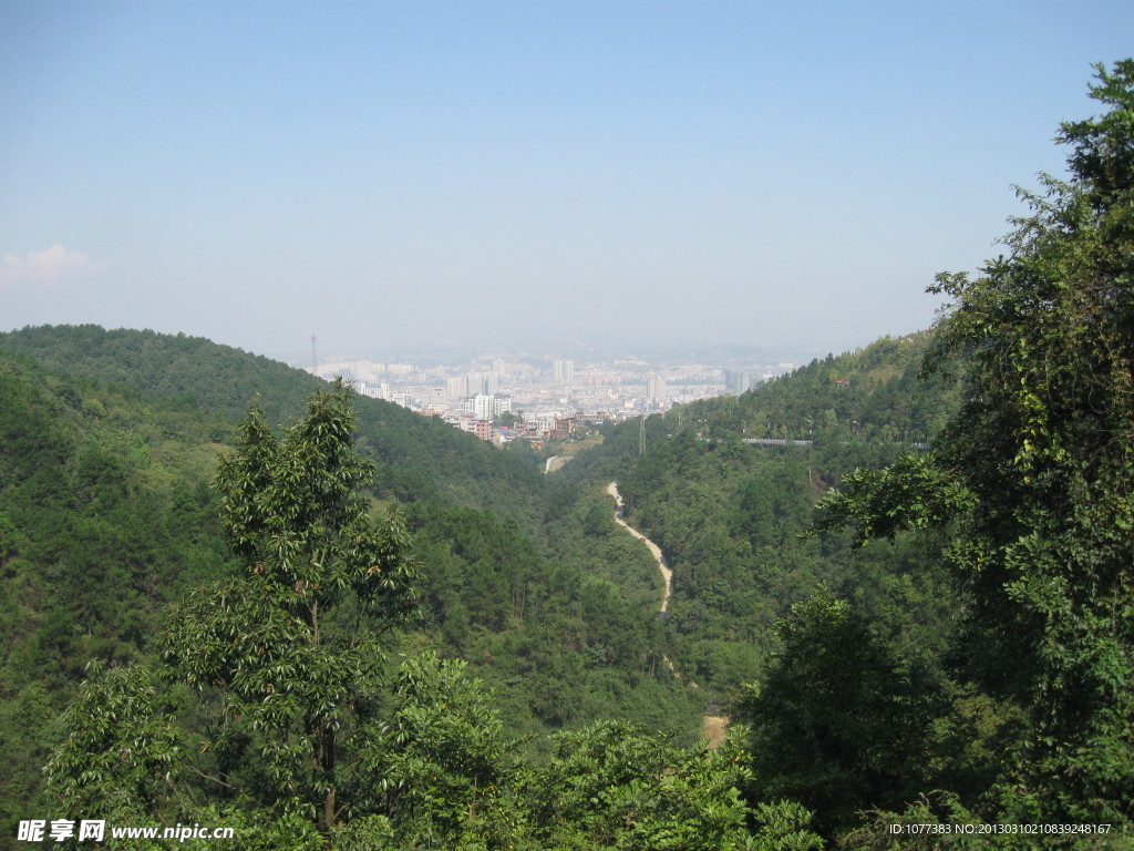 山巒 綠樹