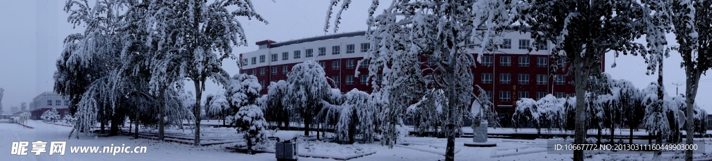 雪后的校园