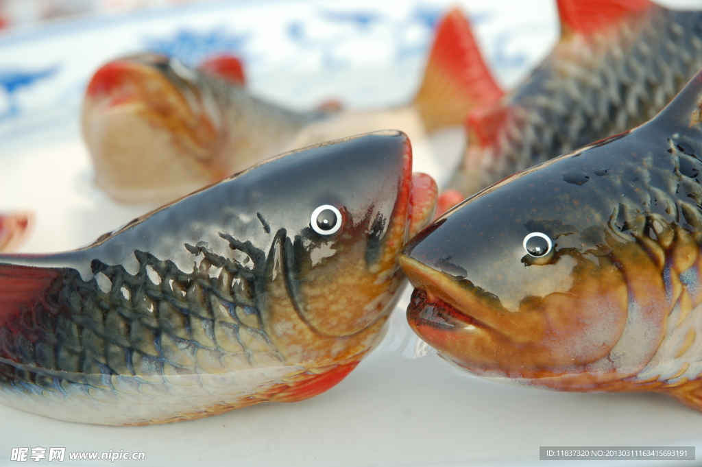 草魚