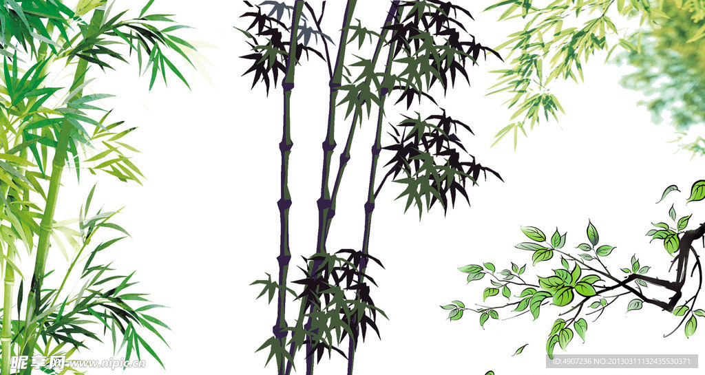 竹子