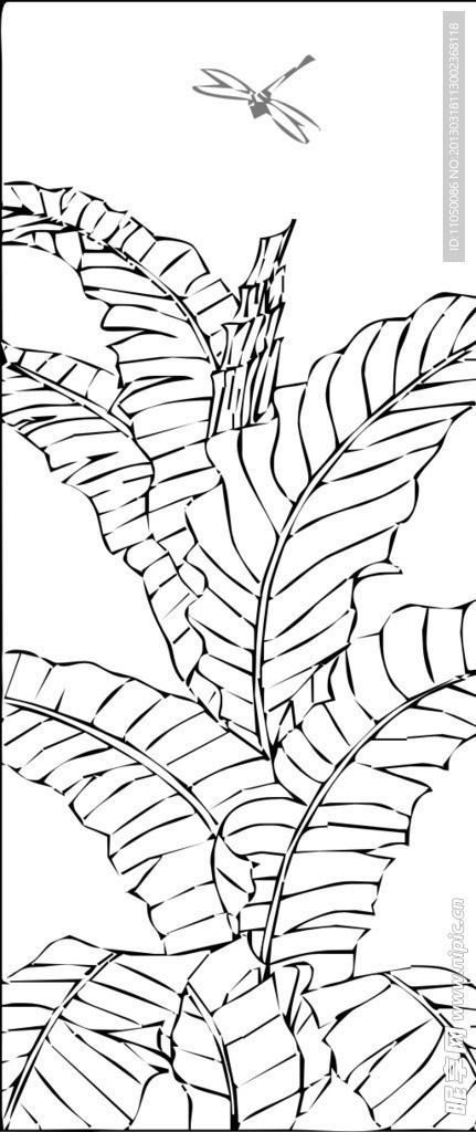 芭蕉葉 矢量