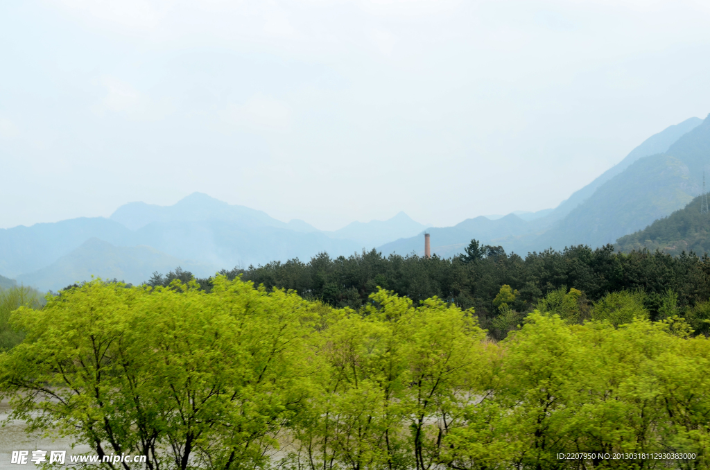 春天 樹(shù)木
