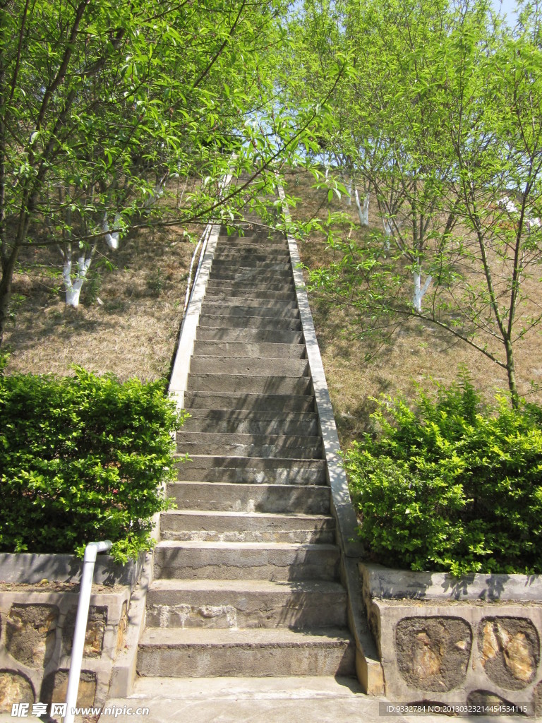 桃林道