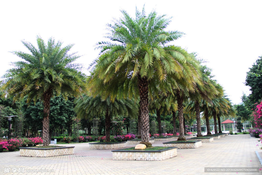 東湖公園一角