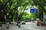 桂林那些绿树成荫的街道