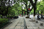 桂林 绿树成荫的街道