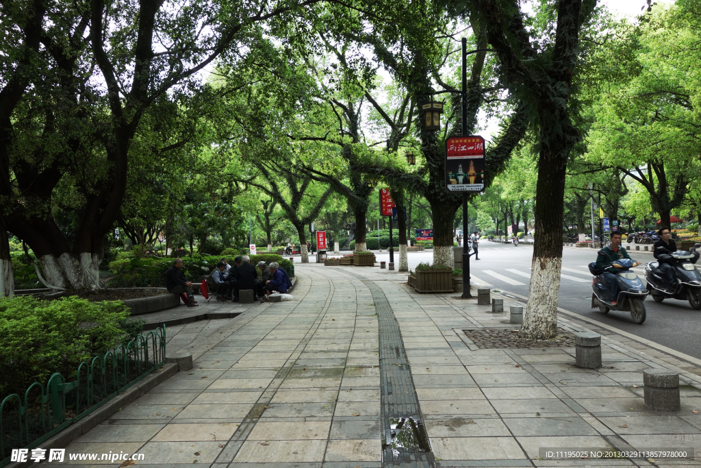 桂林 綠樹成蔭的街道