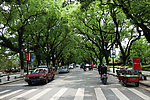桂林的街道 绿树成荫