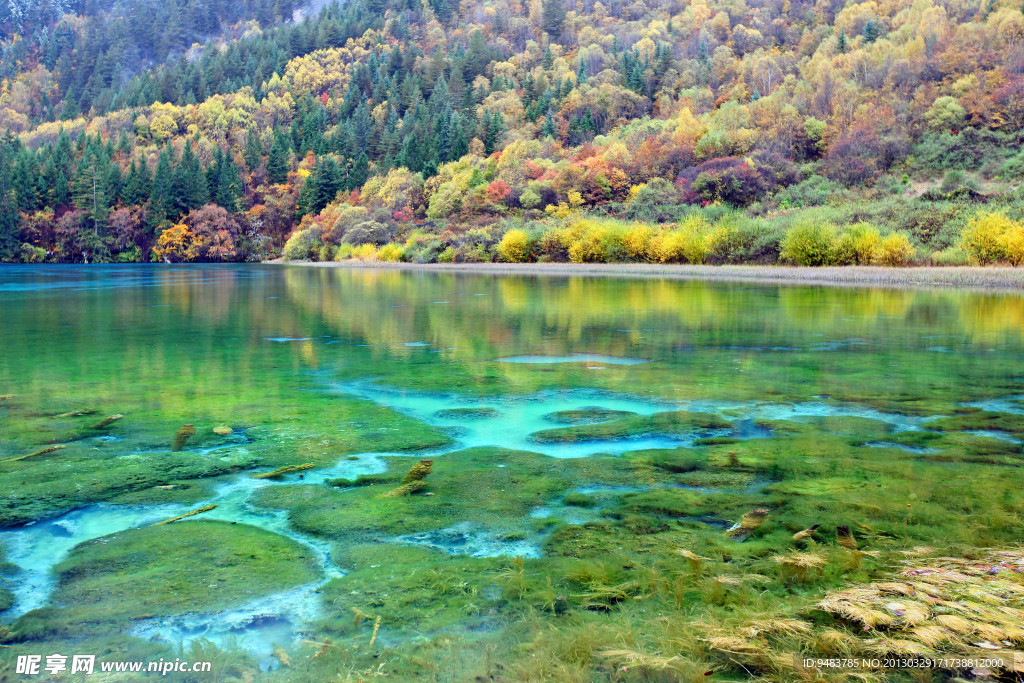 九寨沟