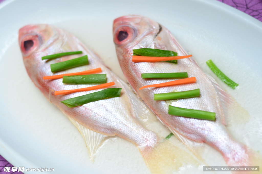 抱鹽大眼魚
