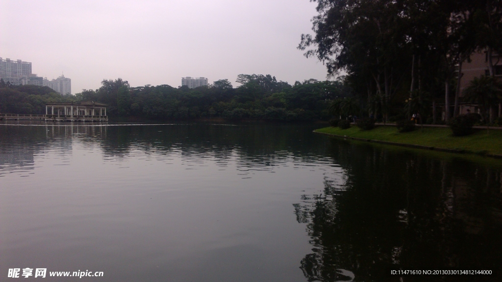 水面風景
