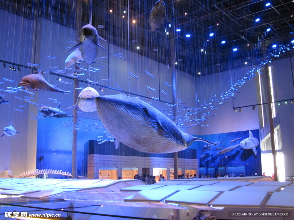廣東省博物館海洋館