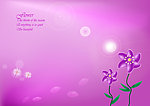 紫色唯美花朵背景图