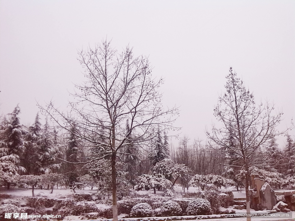 雪景