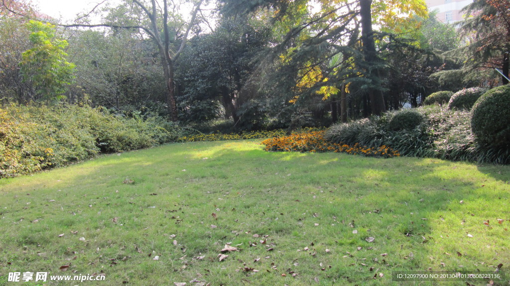 公園草坪