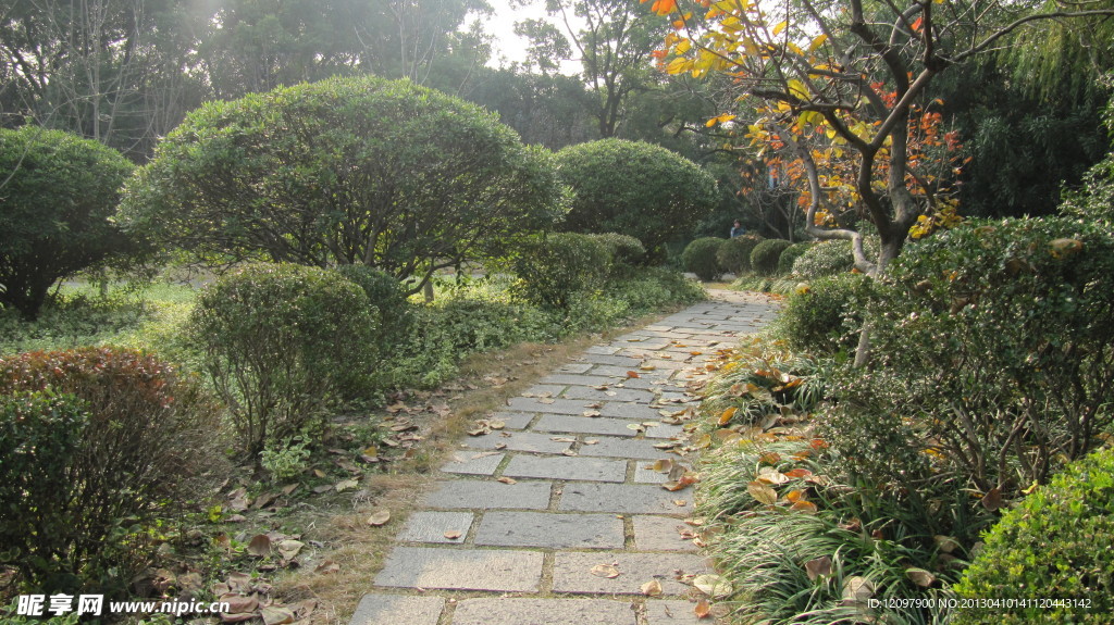 青青小路
