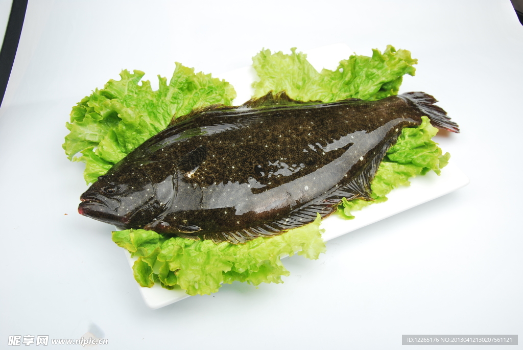 魚 生菜