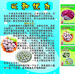 小吃海報
