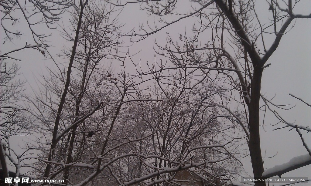 冬天雪景色