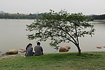 湖边小树旁的情侣