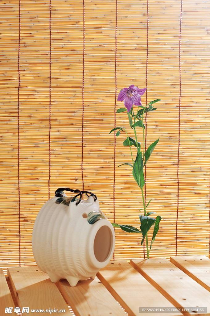 紫花