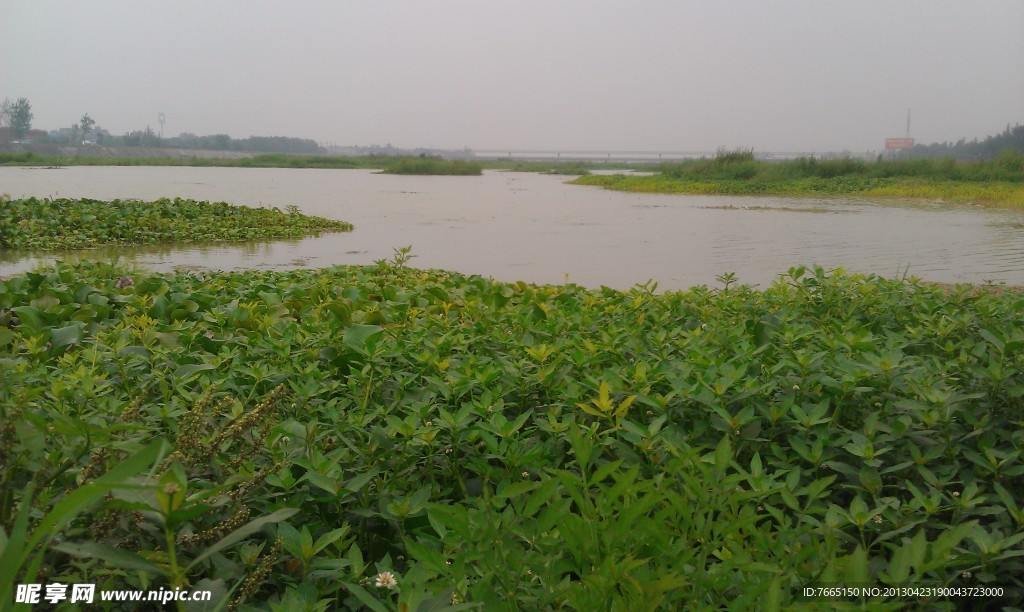 鴨子河濕地生態