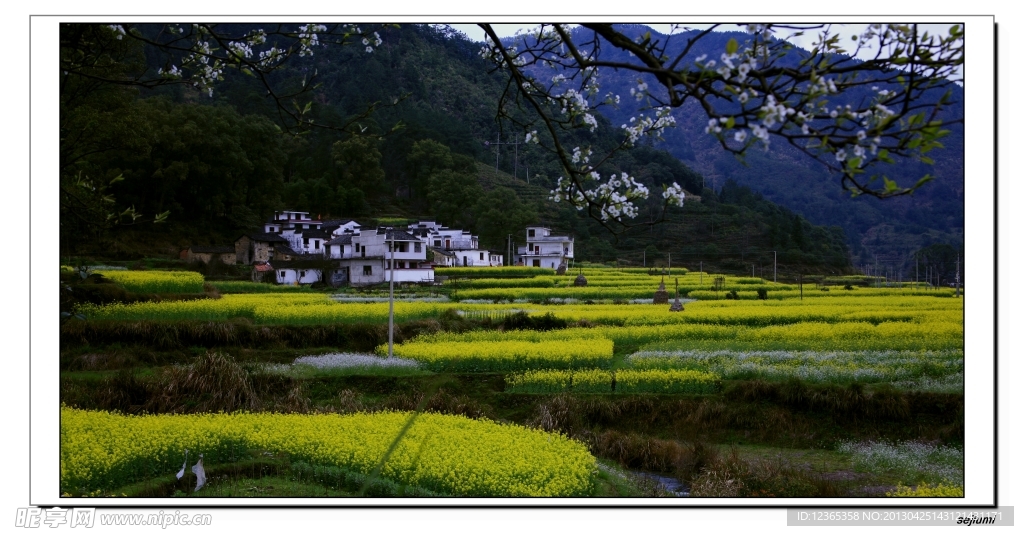 梯田 風光 藍天 白
