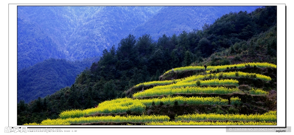 梯田 風光 藍天 白