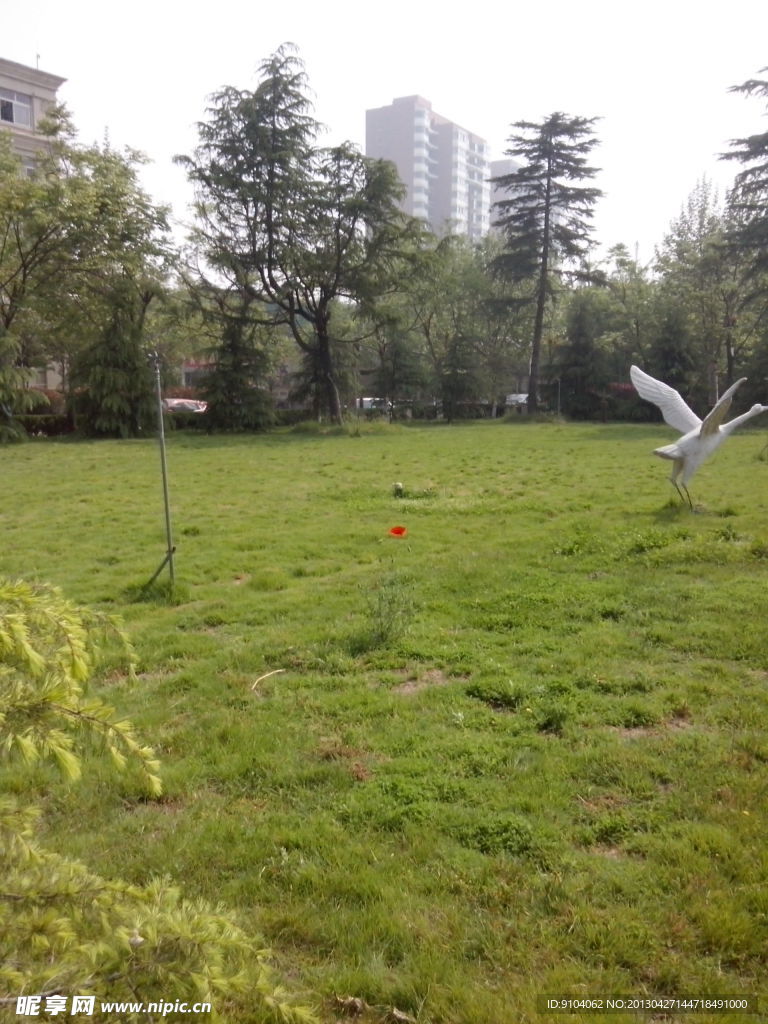 綠色的草地