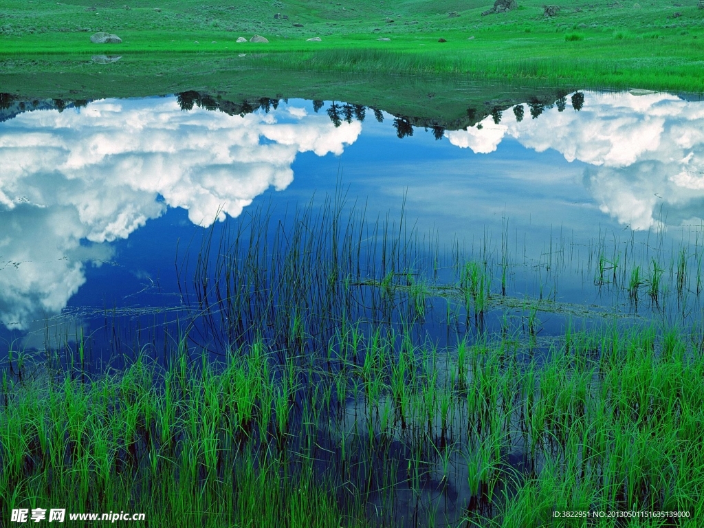 草原沼澤地