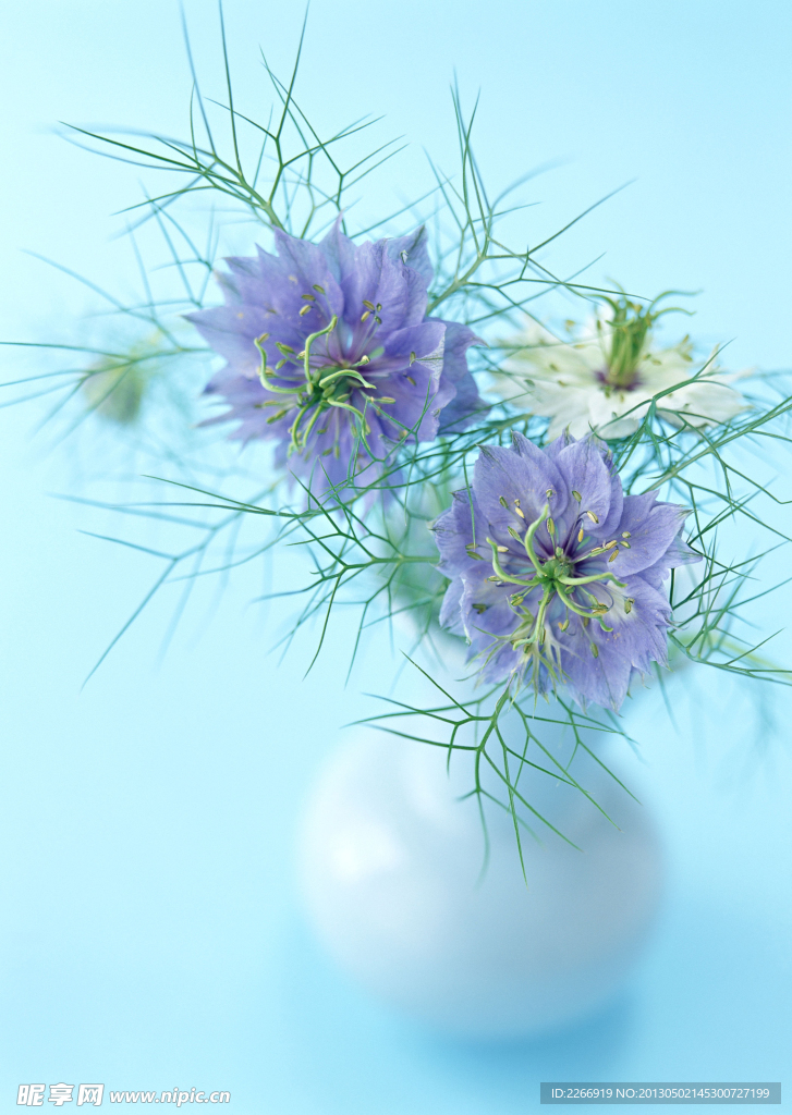 花卉藝術