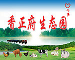 香正府生态园海报