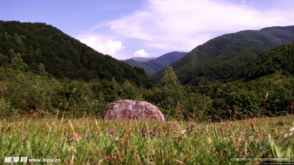 山林草地
