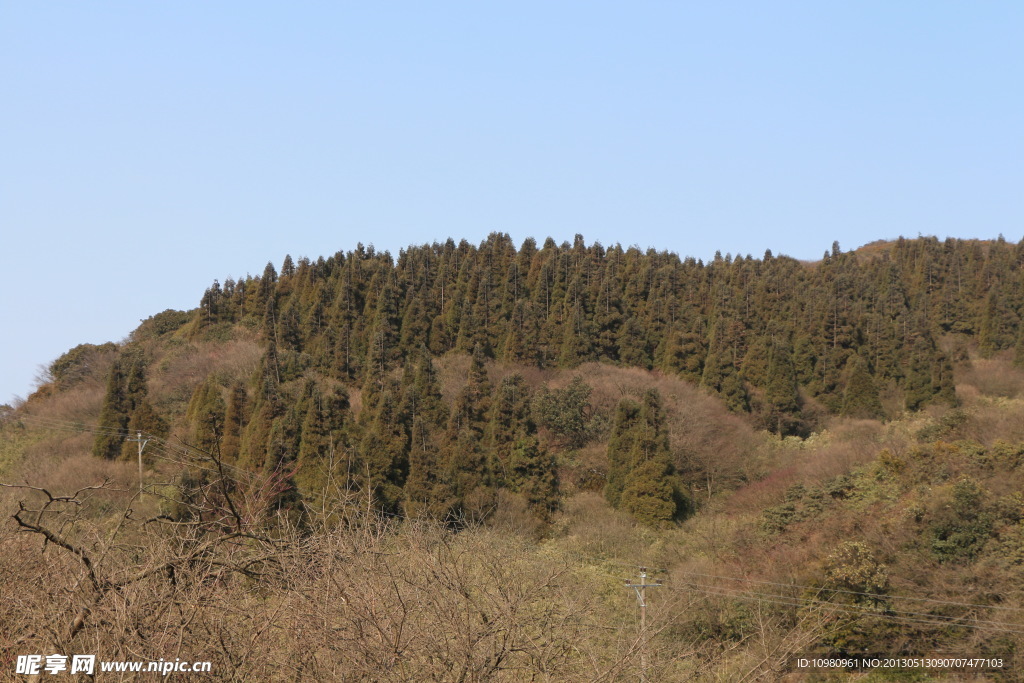高山草甸