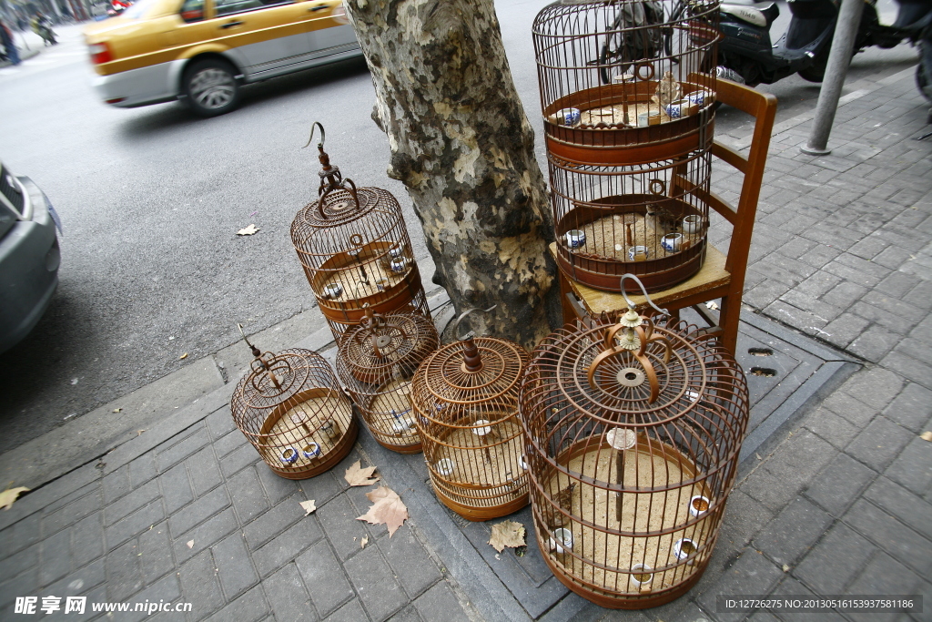 路邊的鳥籠