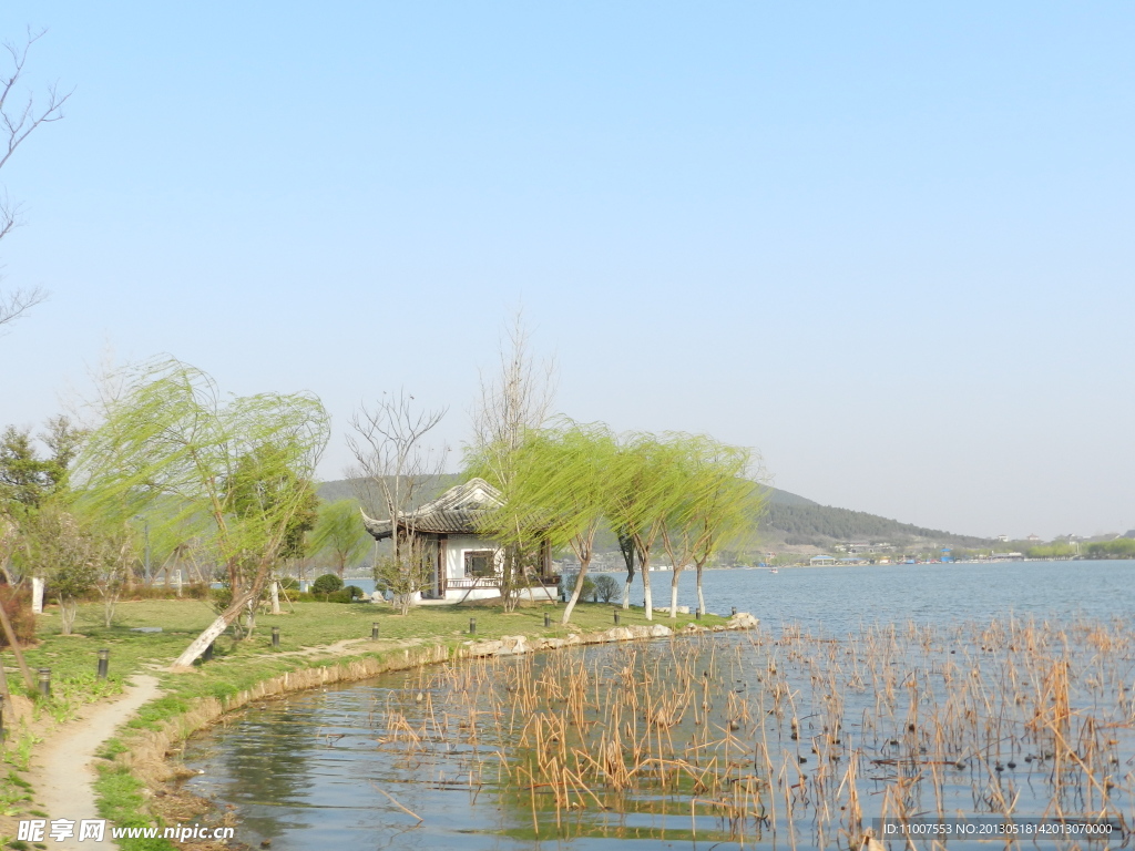 春季湖邊