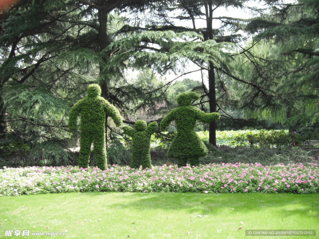 植物人兒