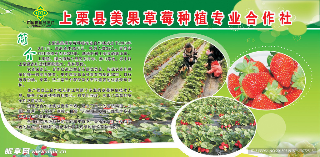 草莓种植宣传栏