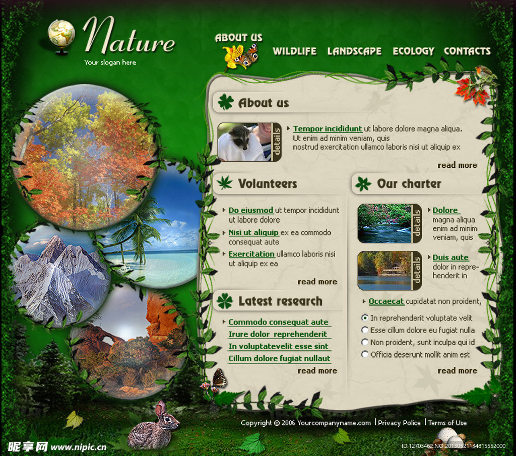 自然保护区网页模板